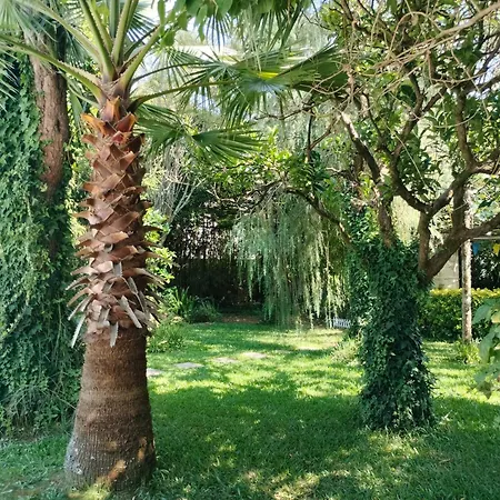 R3 - Casa Da Aldeia - Monte Redondo Villa *
