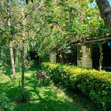 R3 - Casa Da Aldeia - Monte Redondo Penacova