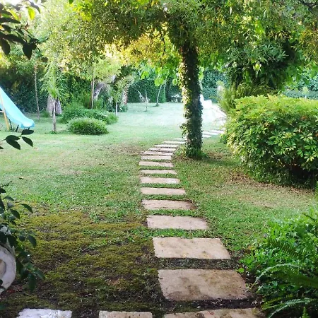 R3 - Casa Da Aldeia - Monte Redondo Penacova