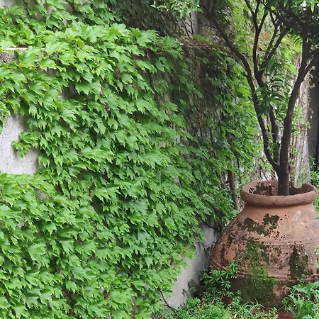 R3 - Casa Da Aldeia - Monte Redondo Villa Penacova