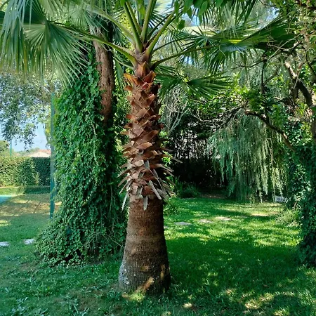 R3 - Casa Da Aldeia - Monte Redondo